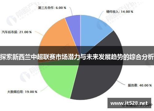 探索新西兰中超联赛市场潜力与未来发展趋势的综合分析