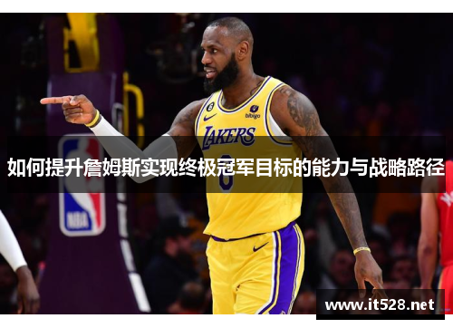 如何提升詹姆斯实现终极冠军目标的能力与战略路径