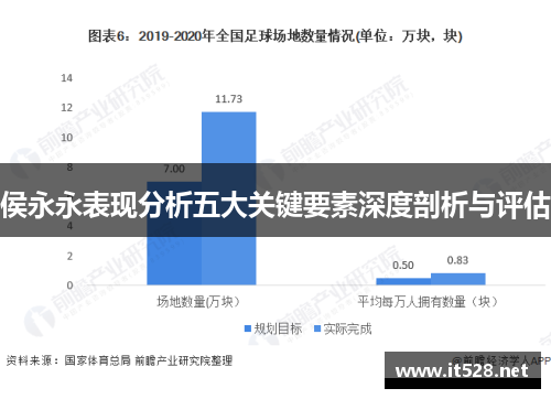 侯永永表现分析五大关键要素深度剖析与评估