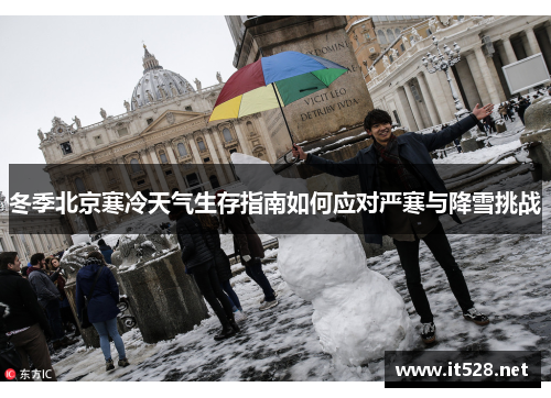 冬季北京寒冷天气生存指南如何应对严寒与降雪挑战